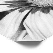 Schwarz-Weiß-Blume Fotodruck (Ecke)