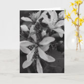 Schwarz-Weiß-Blume Karte (Gelbe Blume)