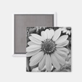 Schwarz-Weiß-Blume Magnet (Vorderseite/Rückseite)