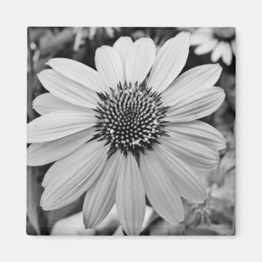 Schwarz-Weiß-Blume Magnet (Vorne)