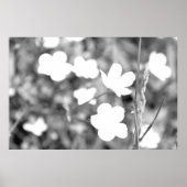 Schwarz-Weiß-Blume Moderne Künstlerische Fotografi Poster (Vorne)