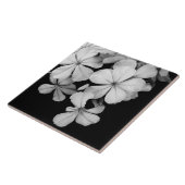 Schwarz-Weiß-Blume nah Fliese (Seite)