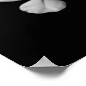 Schwarz-Weiß-Blume nah Poster (Ecke)