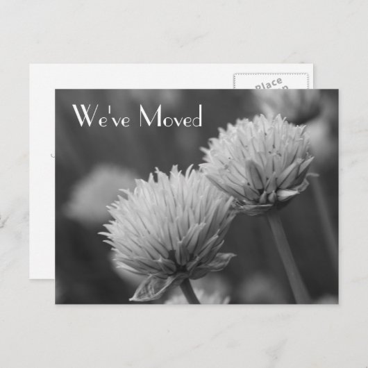 Schwarz-Weiß-Blume - neue Adresse Ankündigungspostkarte (Vorne/Hinten)