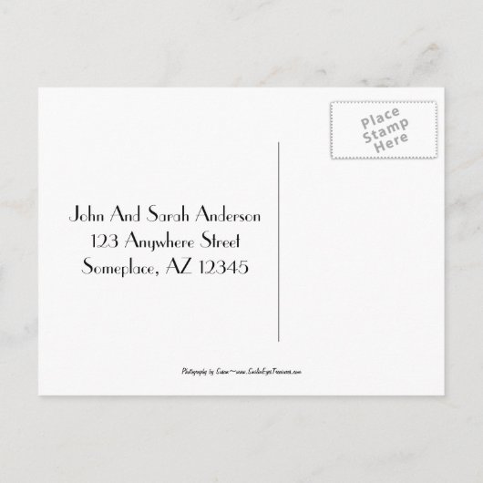 Schwarz-Weiß-Blume - neue Adresse Ankündigungspostkarte (Rückseite)