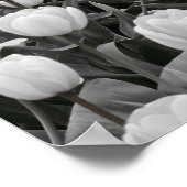 Schwarz-Weiß-Blume Poster (Ecke)