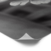 Schwarz-Weiß-Blume Poster (Ecke)