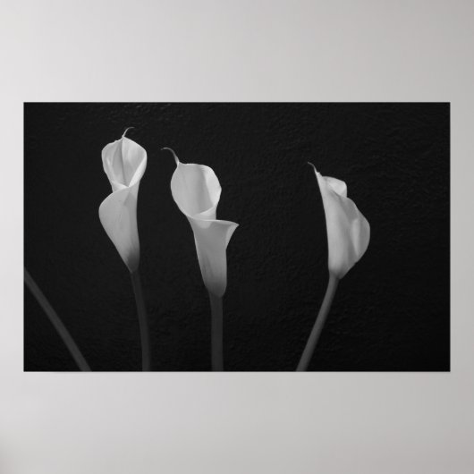 Schwarz-Weiß-Blume-Poster Poster (Vorne)