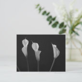 Schwarz-Weiß-Blume Postkarte (Stehend Vorderseite)