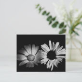 Schwarz-Weiß-Blume Postkarte (Stehend Vorderseite)
