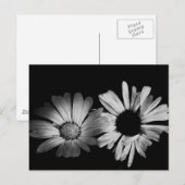Schwarz-Weiß-Blume Postkarte (Vorne/Hinten)