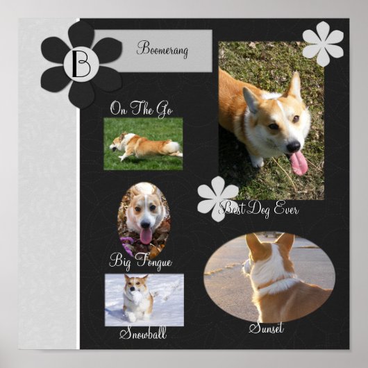 Schwarz-Weiß-Blume-Scrapie-Buchseite Poster (Vorne)