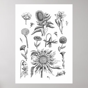 Schwarz-Weiß-Blume und Pflanze Poster