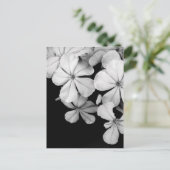 Schwarz-Weiß-Blumen Postkarte (Stehend Vorderseite)