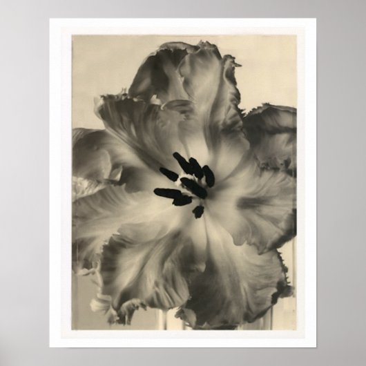 Schwarz-Weiß-Blumendruck Poster (Vorne)