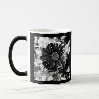 Schwarz-Weiß-Blumenfoto Verwandlungstasse