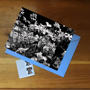 Schwarz-Weiß-Blumenfotografie Frühlingsblumen Postkarte