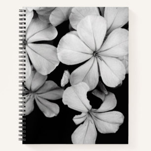 Schwarz-Weiß-Blumenfotografie Notizblock