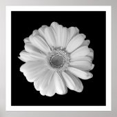 Schwarz-Weiß-Blumenfotografie-Poster Poster (Vorne)