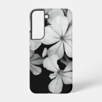 Schwarz-Weiß-Blumenfotografie