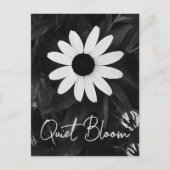 Schwarz-Weiß-Blumengarten Postkarte (Vorderseite)