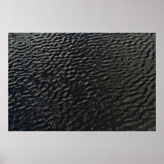 Schwarz-Weiß-Blumentextilien Poster (Vorne)