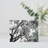Schwarz-Weiß-Blüten Postkarte (Stehend Vorderseite)