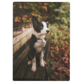 Schwarz-Weiß-Border-Collie auf der Monte Tamaro Klemmbrett (Rückseite)