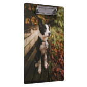 Schwarz-Weiß-Border-Collie auf der Monte Tamaro Klemmbrett (Rechts)