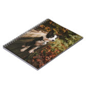 Schwarz-Weiß-Border-Collie auf der Monte Tamaro Notizblock (Linke Seite)