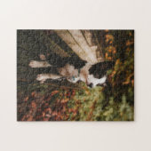 Schwarz-Weiß-Border-Collie auf der Monte Tamaro Puzzle (Horizontal)