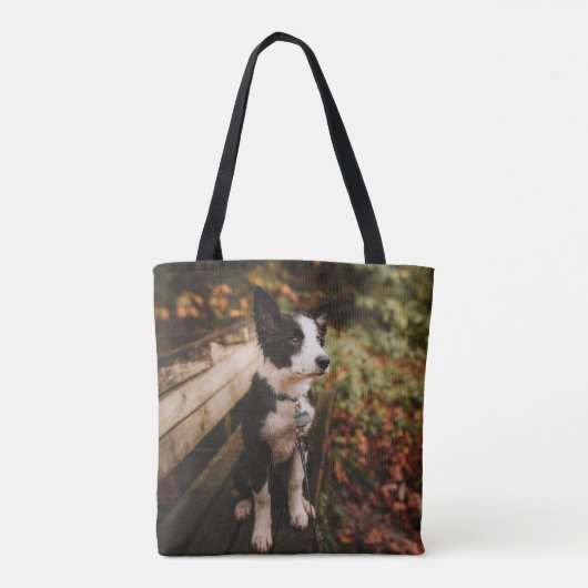 Schwarz-Weiß-Border-Collie auf der Monte Tamaro Tasche (Rückseite)