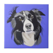 Schwarz-Weiß-Border-Collie Fliese (Vorderseite)