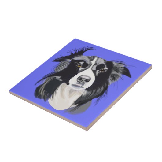 Schwarz-Weiß-Border-Collie Fliese (Seite)