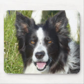 Schwarz-Weiß-Border-Collie Mousepad (Vorne)