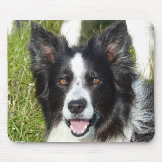 Schwarz-Weiß-Border-Collie Mousepad (Vorne)
