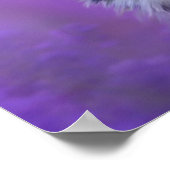 Schwarz-Weiß-Border-Collie Poster (Ecke)