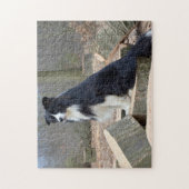 Schwarz-Weiß-Border-Collie Puzzle (Vertikal)
