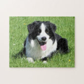 Schwarz-Weiß-Border-Collie Puzzle (Horizontal)
