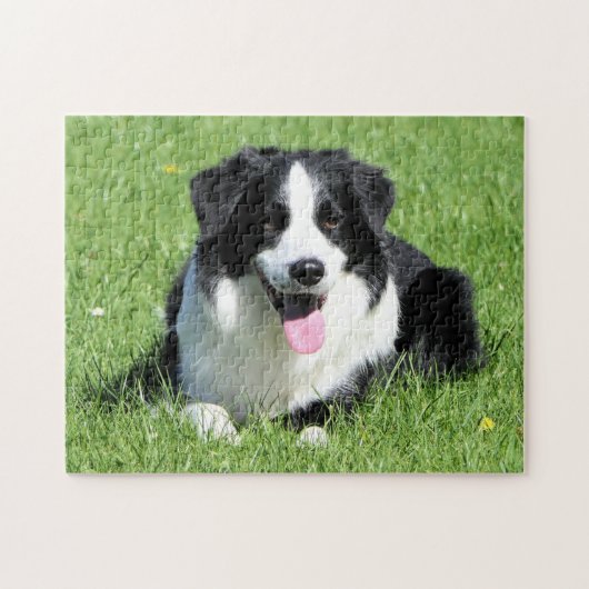 Schwarz-Weiß-Border-Collie Puzzle (Horizontal)