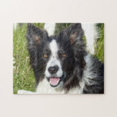 Schwarz-Weiß-Border-Collie Puzzle (Horizontal)