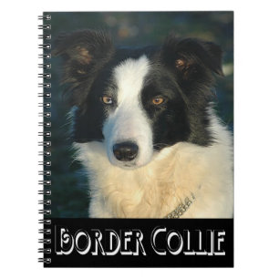 Schwarz-Weiß Border Collie Welpenhund Journal Notizblock