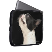 Schwarz-Weiß Boston Terrier blickt nach oben Laptopschutzhülle (Vorne Rechts)