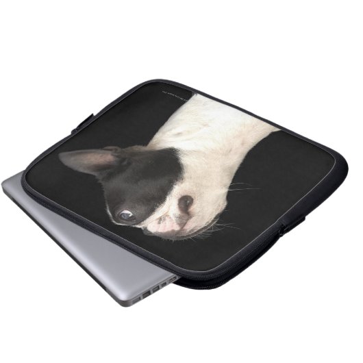 Schwarz-Weiß Boston Terrier blickt nach oben Laptopschutzhülle (Vorne Knopf)