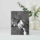 Schwarz-Weiß-Boxer-Liebe Postkarte (Stehend Vorderseite)