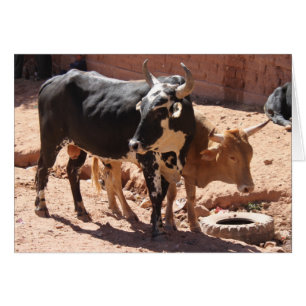 Schwarz, Weiß, Braun, Schalen mit Hörnern - Steh