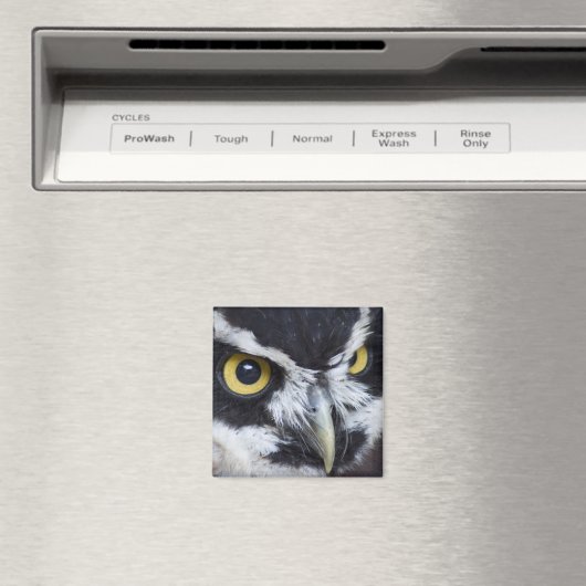 Schwarz-Weiß-Brille Magnet (In Situ (Geschirrspüler))