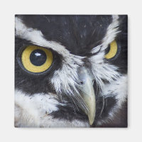 Schwarz-Weiß-Brille