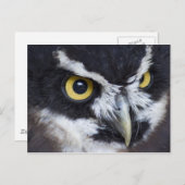 Schwarz-Weiß-Brille Postkarte (Vorne/Hinten)