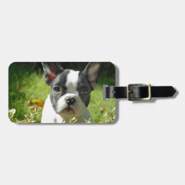 Schwarz-Weiß-Bull-Hunde-Welpe Gepäckanhänger